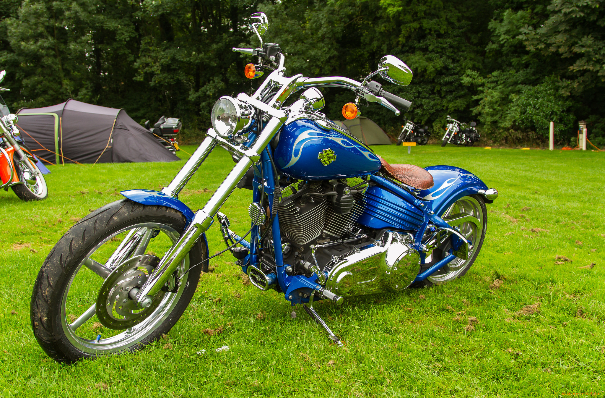 harley-davidson, , , , , 